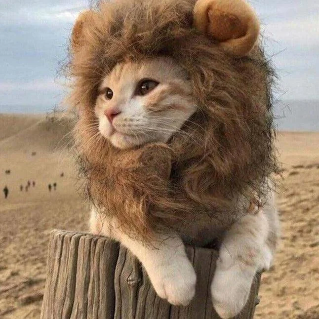 Hilarious and Funny Cat Lion Mane Plush