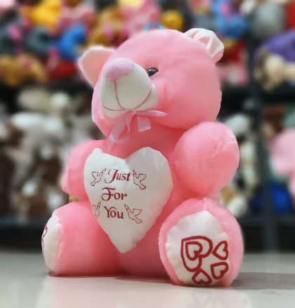 Soft Stuffed With Love Heart Teddy Bear(Pink)